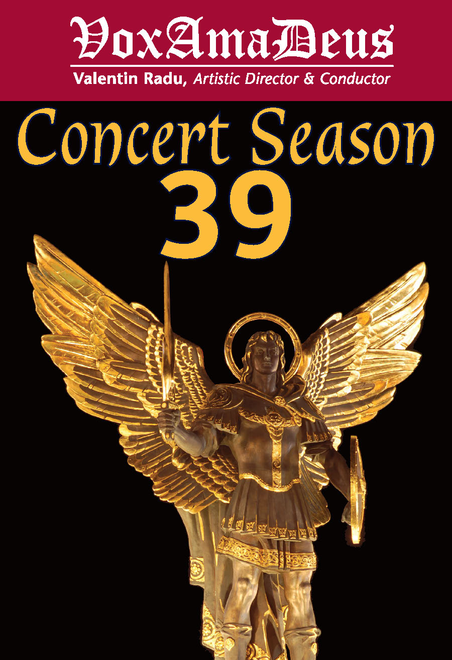 S39 brochure